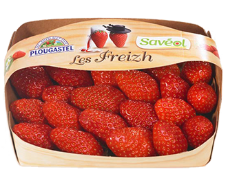 fraise saveol