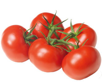 tomate bio saveol