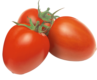 Our Tomatoes Saveol