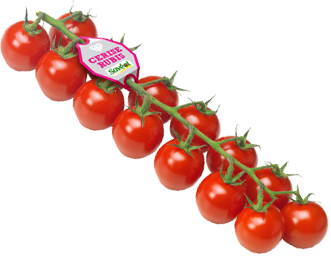 tomate rubis grappe