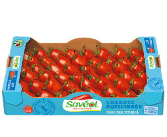 Torino tomato | Saveol