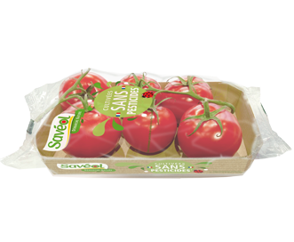 tomate bio sans pesticides