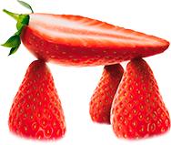 fraises fraises
