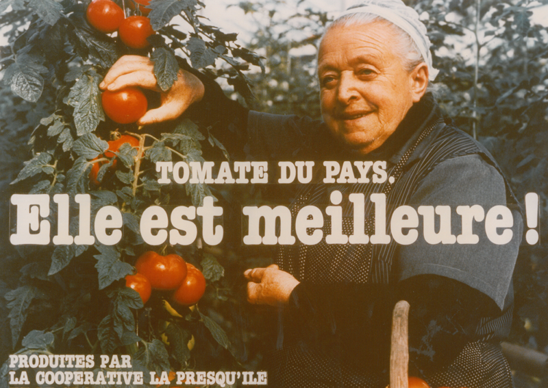 Tomate du pays - saga pub