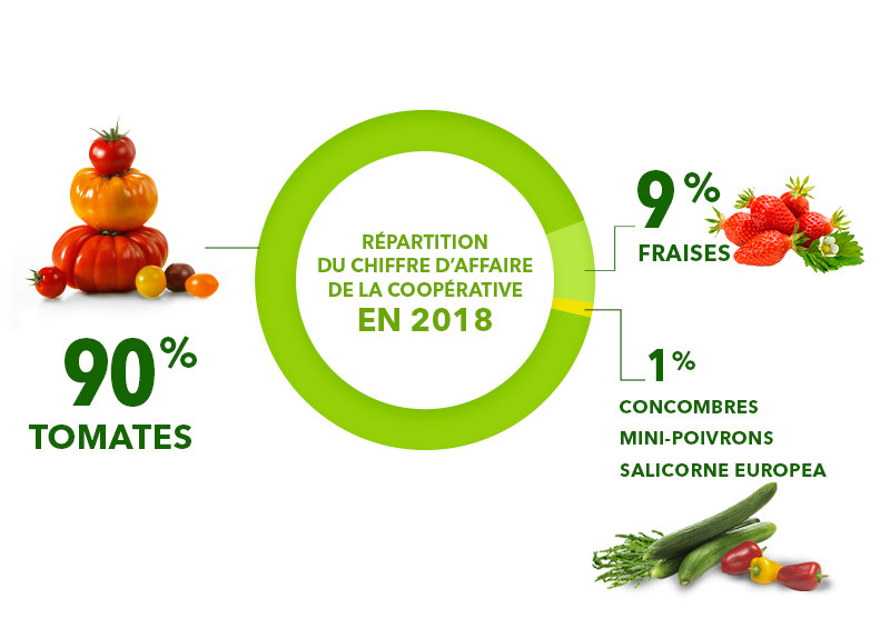 nos-activites_2019 nos-activites_2019
