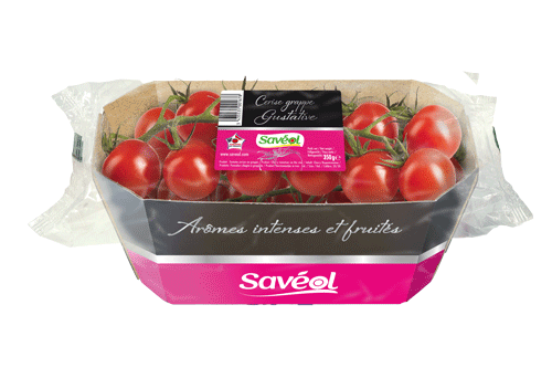 Tomate Grappe Gustative