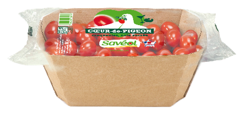 Cerise coeur de pigeon Savéol