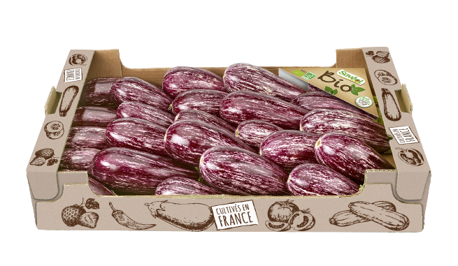 Colis aubergine tigrée