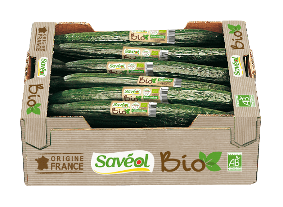 Concombre bio colis 12p