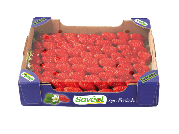 Colis fraise 1 kg
