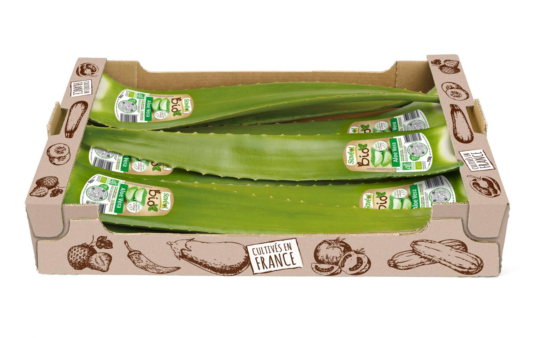 Aloe vera bio 750g