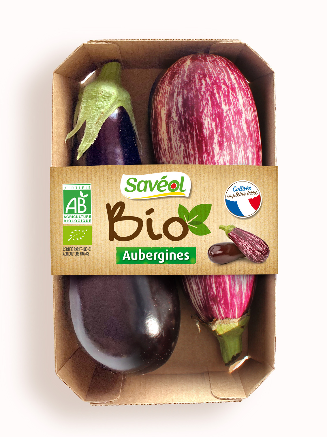 Pack aubergines BIO duo