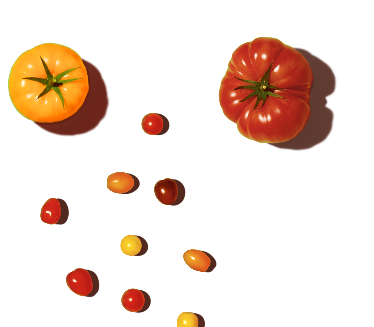Tomates Saveol home