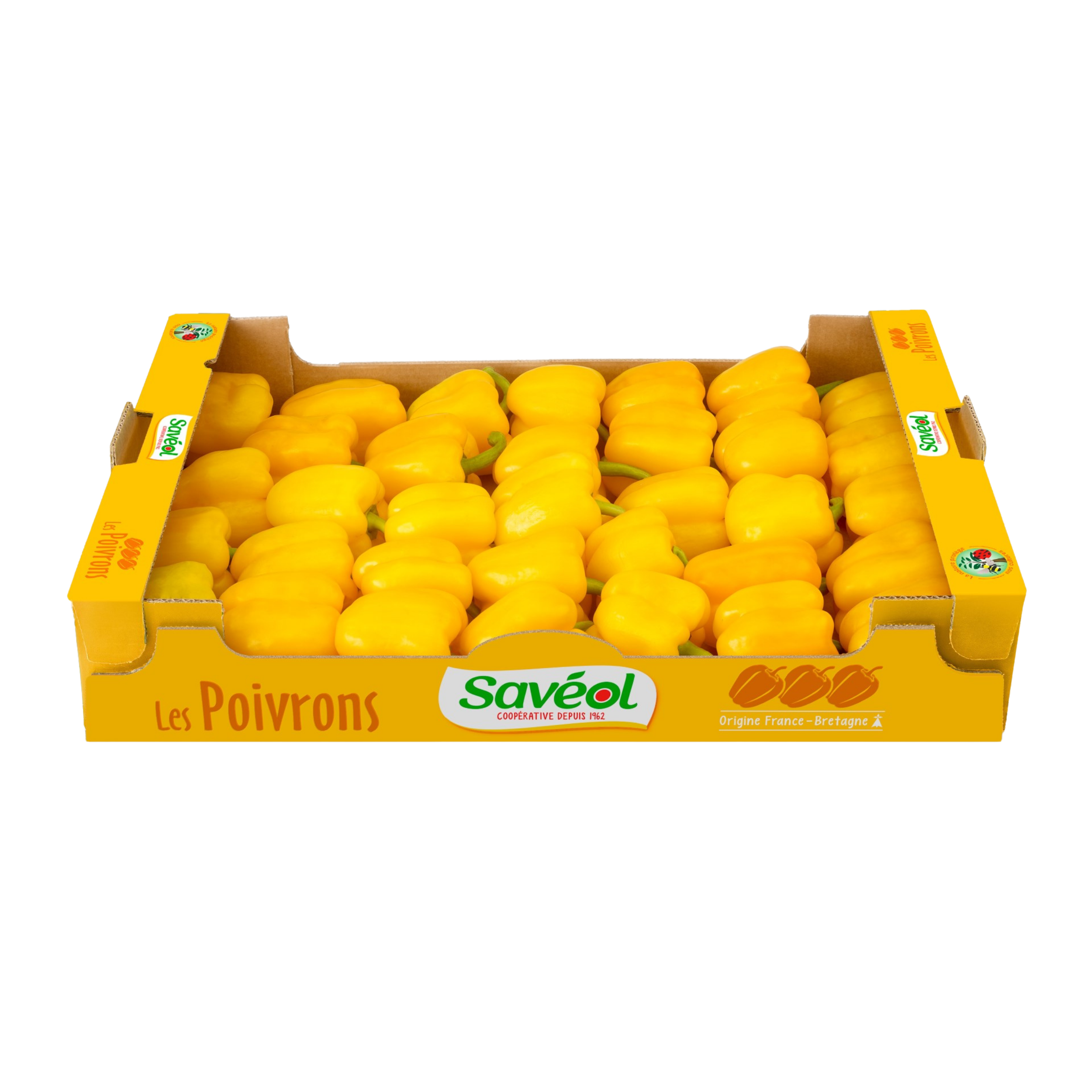 poivrons jaunes