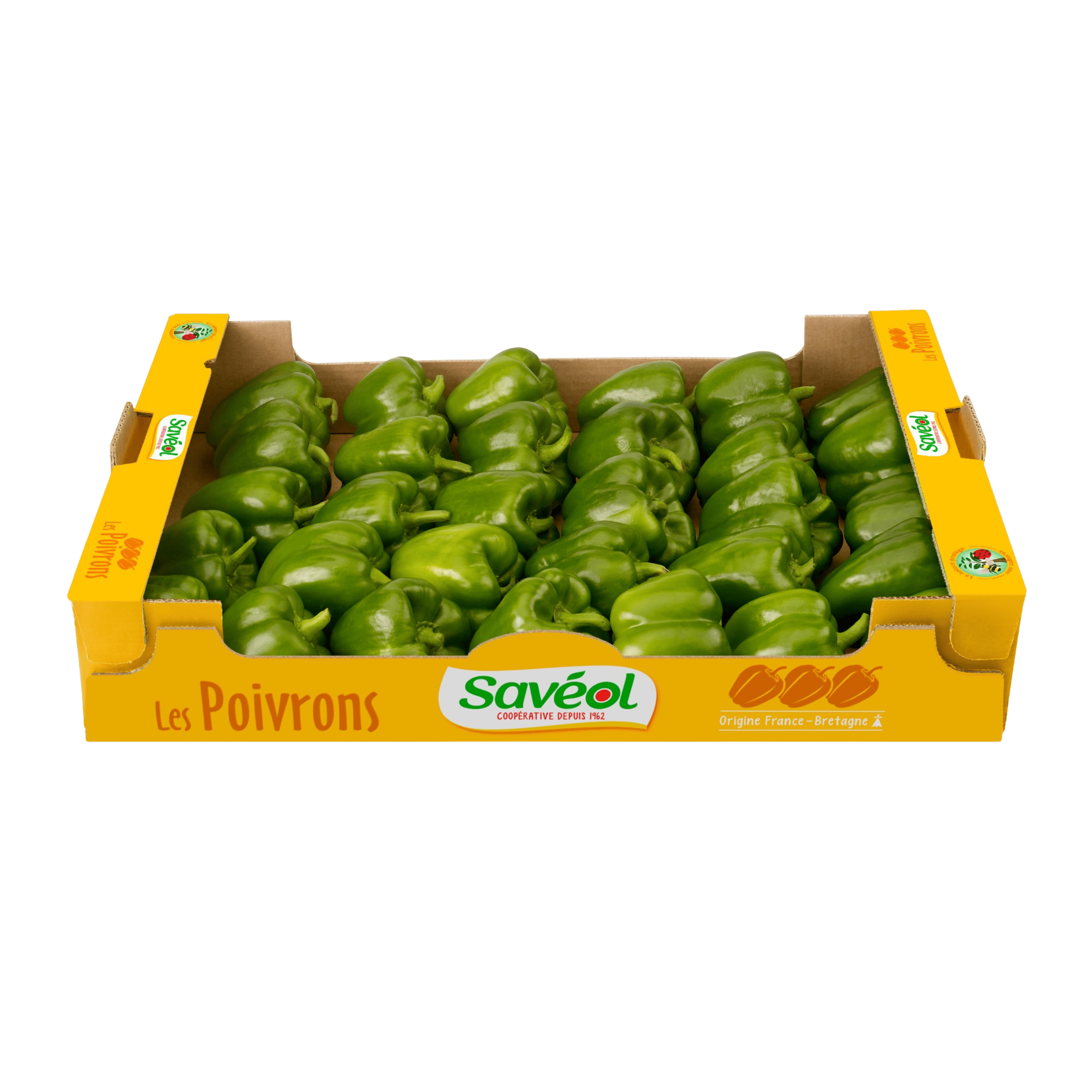 poivrons verts