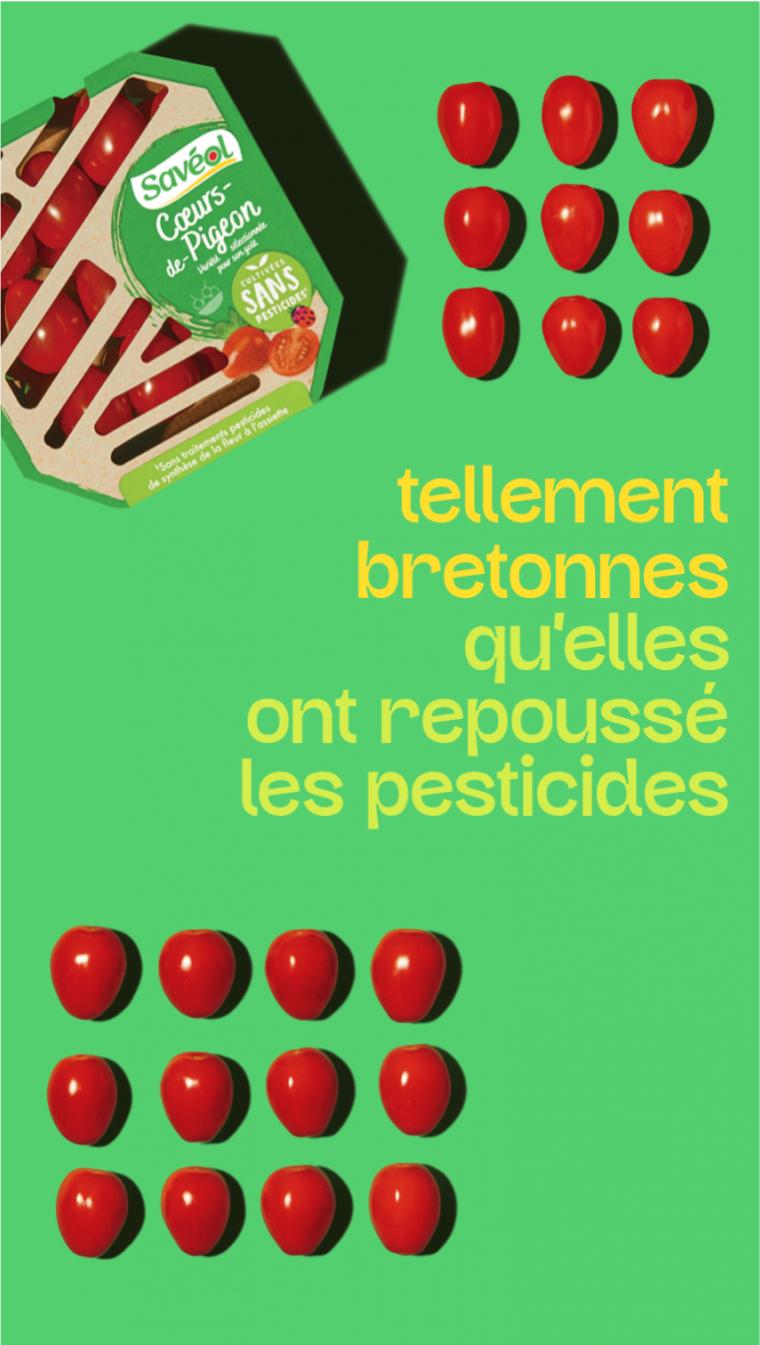 pesticides Saveol