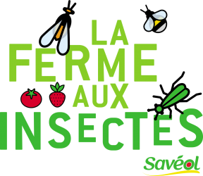 ferme aux insectes logo ferme aux insectes logo