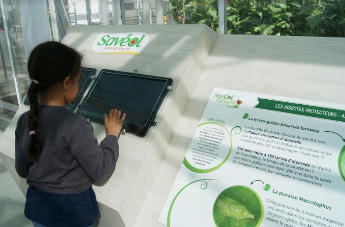 Ferme aux insectes Savéol ludique