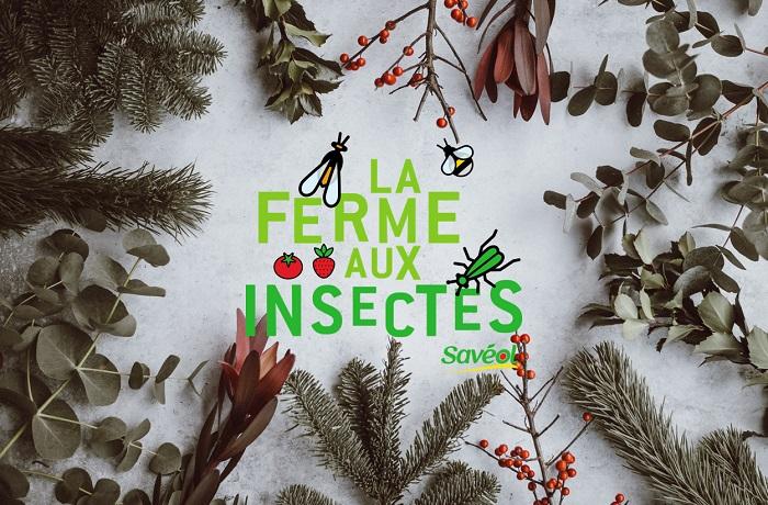 actu noel FI actu noel FI