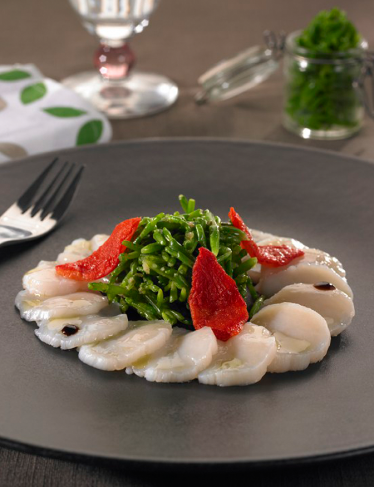 Carpaccio St Jacques Salicornes Carpaccio St Jacques Salicornes