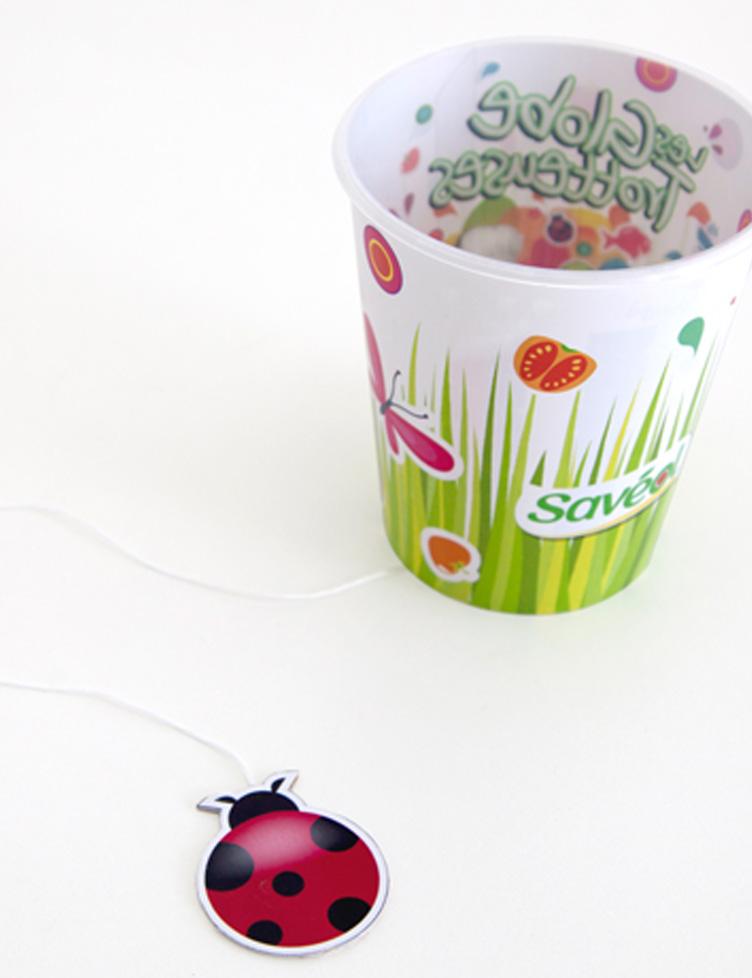Coccinelle sauteuse Coccinelle sauteuse