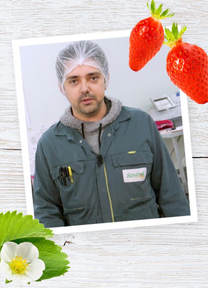 Kevin agreeur fraises