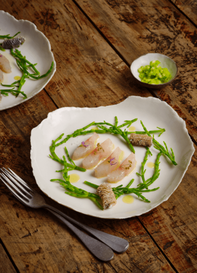 Ceviche par Laurent favre mot