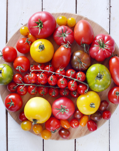 Variétés tomates