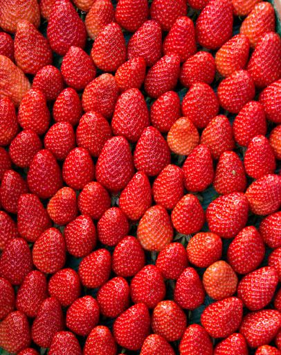 Fraises